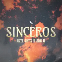 Sinceros - Single by Matt Hunter & Jerry Di album reviews, ratings, credits