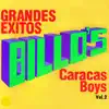 Grandes Éxitos, Vol. 2 album lyrics, reviews, download