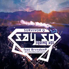 Say So (feat. Brvndonp) - Single by Survivor Q album reviews, ratings, credits