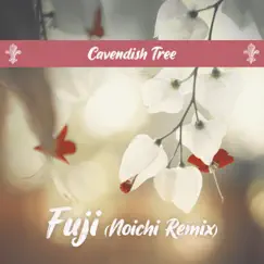 Fuji (Noichi Remix) Song Lyrics