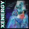 Xenergy : The Final Saga (Video Album) album lyrics, reviews, download