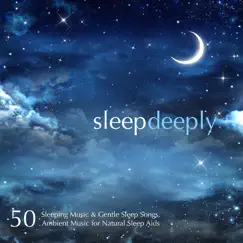 Jewels of Silence (Deep Meditation Music to Beat Insomnia) Song Lyrics