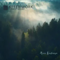 After Work Forest Relief by Mera Kanhaiya album reviews, ratings, credits