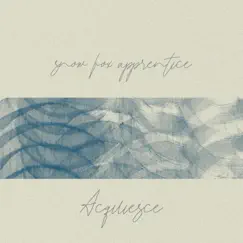Acquiesce - Single by Snow Fox Apprentice album reviews, ratings, credits
