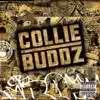 Collie Buddz album lyrics, reviews, download