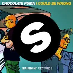 I Could Be Wrong - Single by Chocolate Puma album reviews, ratings, credits