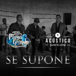 Se Supone (Cover) [feat. Acústico Punto y Coma] - Single by Banda Playa Grande album reviews, ratings, credits