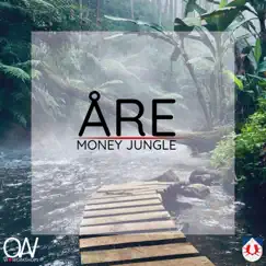 Money Jungle by Optagonen Kids album reviews, ratings, credits