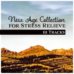 New Age Collection for Stress Relieve – 111 Tracks for Relaxation Session: Yoga Meditation, Spa Massage, Deep Sleep Therapy by Positive Thinking World album reviews, ratings, credits