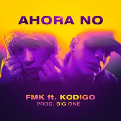 Ahora No (feat. Kodigo) - Single by FMK album reviews, ratings, credits