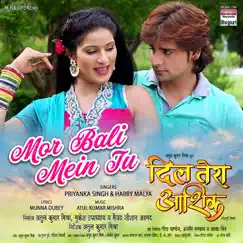 Mor Bali Mein Tu (From ''Dil Tera Aashiq'') - Single by Priyanka Singh, Harry Malya & Atul Kumar Mishra album reviews, ratings, credits