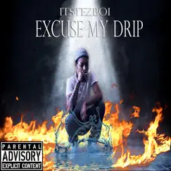 Excuse My Drip by Itstezboi album reviews, ratings, credits