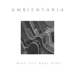 Wish You Were Here - Single by Ambientaria album reviews, ratings, credits