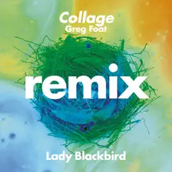 Collage (Greg Foat Remix) - Single by Lady Blackbird album reviews, ratings, credits