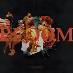 Bloom - Single by Pvffy album reviews, ratings, credits