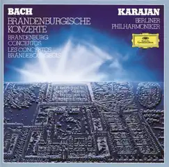 Brandenburg Concerto No. 6 in B-Flat, BWV 1051: II. Adagio ma non tanto Song Lyrics