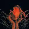 Salvador Dali - Single album lyrics, reviews, download