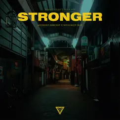 Stronger (What Doesn't Kill You) - Single by Anthony Dircson & Willemijn May album reviews, ratings, credits