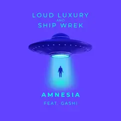 Amnesia (feat. GASHI) Song Lyrics