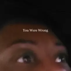 You Were Wrong Song Lyrics