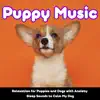 Puppy Music Relaxation for Puppies and Dogs with Anxiety (Sleep Sounds to Calm My Dog) album lyrics, reviews, download