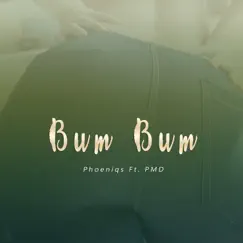 Bum Bum (feat. PMD) - Single by Phoeniqs album reviews, ratings, credits