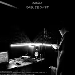 Greu de Gasit by Basaa album reviews, ratings, credits