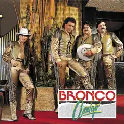Bronco Amigo by Bronco album reviews, ratings, credits