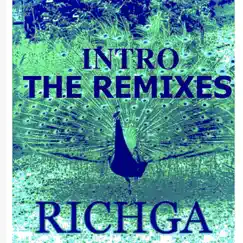 Intro (Extended Mix) - Single by Richga album reviews, ratings, credits