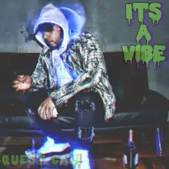 Its a Vibe - EP by Quest Cali album reviews, ratings, credits