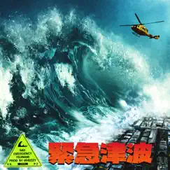 Emergency Tsunami by NAV album reviews, ratings, credits