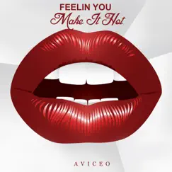 Feelin' You Make It Hot - Single by Aviceo album reviews, ratings, credits