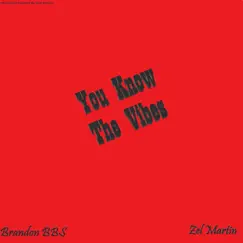 You Know the Vibes (feat. Zel Martin) Song Lyrics