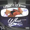 What She Likes (feat. CJ Bandzz) - Single album lyrics, reviews, download