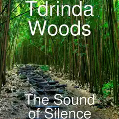 The Sound of Silence - Single by Tdrinda Woods album reviews, ratings, credits