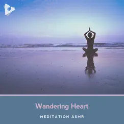 Wandering Heart by Meditation Atmospheres & Meditation Relaxation Club album reviews, ratings, credits