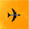 Flight Mode - Single album lyrics, reviews, download