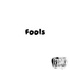 Fools - Single by Jidanofu album reviews, ratings, credits