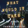 What Would It Take (feat. Thomas Cantin) - Single album lyrics, reviews, download