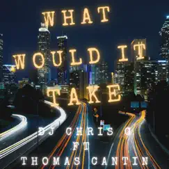 What Would It Take (feat. Thomas Cantin) Song Lyrics