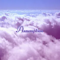 Assumption (feat. Lumelle) Song Lyrics