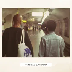 What I Want - Single by Trinidad Cardona album reviews, ratings, credits