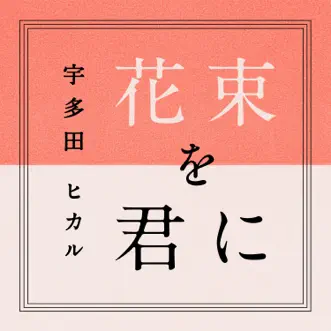 Hanataba Wo Kimini - Single by Hikaru Utada album download