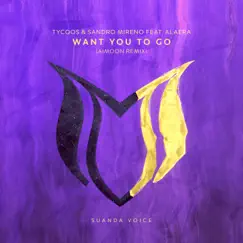 Want You to Go (Aimoon Remix) [feat. Alaera] Song Lyrics