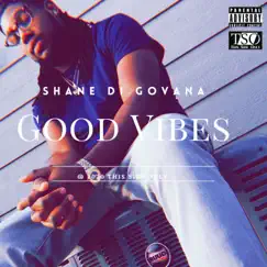 Good Vibes - Single by Shane Di Govana album reviews, ratings, credits