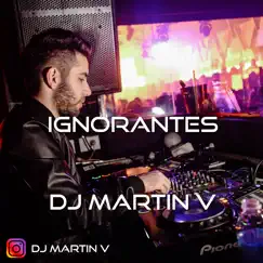 Ignorantes - Single by DJ Martin V album reviews, ratings, credits
