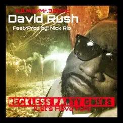 Reckless Party Goer (Let's Have Fun) [feat. Nick Rio] - Single by David Rush album reviews, ratings, credits