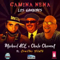 Camina Nena (feat. Orestes Vilató) - Single by Michael ACE & Chalo Chomat album reviews, ratings, credits