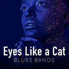 Eyes Like a Cat: Blues Bands by Various Artists album reviews, ratings, credits