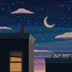 City Nights by Purrple Cat album reviews, ratings, credits